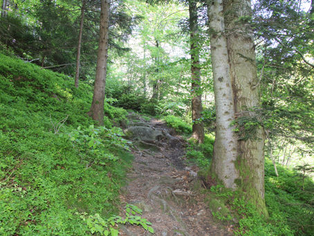 Der Siebenfelsen