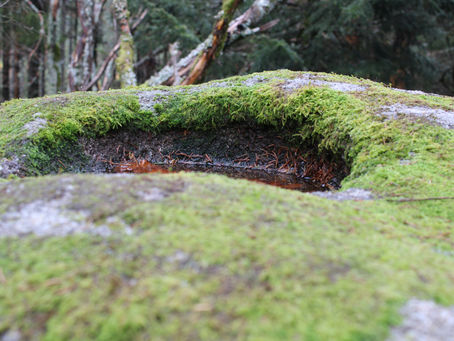 Ein altes Heiligtum mitten im Wald