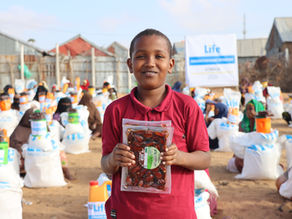 Photo of the Life for Relief and Development (LIFE) food basket distribution in Sierra Leone. 