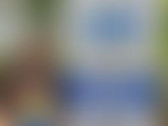 Hope Returns to the Classroom Through Life for Relief and Development (LIFE)’s Orphan Sponsorship in Kenya 