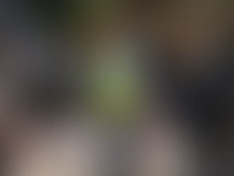 Life for Relief and Development USA (LIFE) Distributes Food Baskets and Shelter Kits, Warming the Hearts and Homes Of 1000 People in Al-Haouz, Morocco 