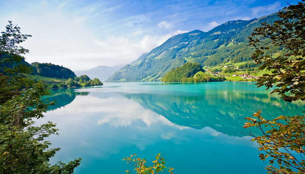 Embrace nature for mental health