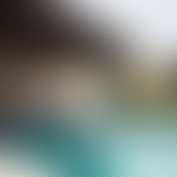 Make friends with horses at this magical wellness retreat near Byron Bay