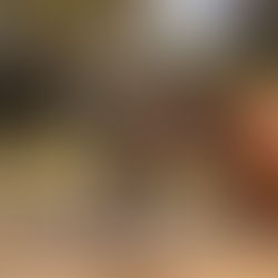 Horses are the heart of Sugar Beach Ranch