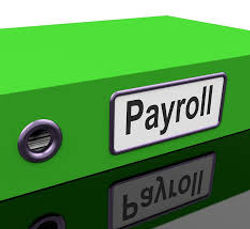 Free Payroll Advise