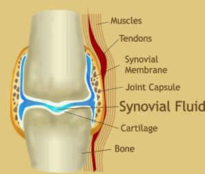 Joint Mobilizations to Improve Joint Contractures