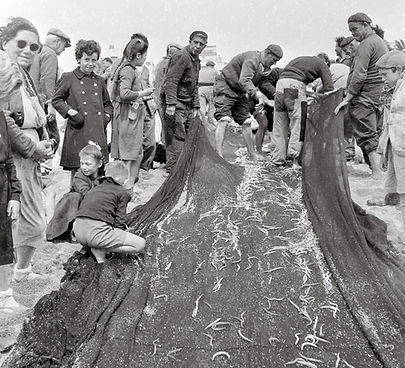 Pescaderos.jpg