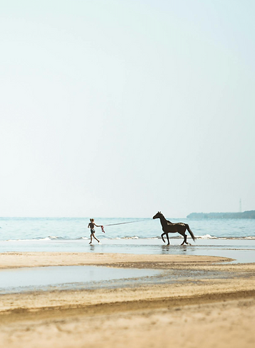 Bildschirmfoto 2026-02-23 um 15.10.05.png