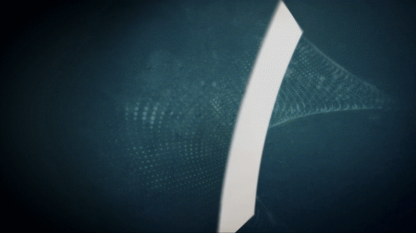 ezgif-1-bd7176631524