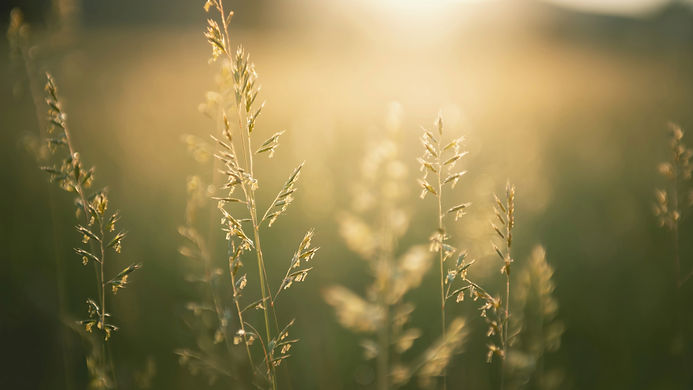 Tarot Coaching (2).jpeg