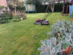 lawn-cut