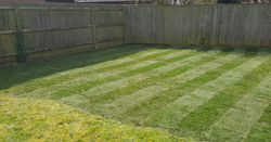 lawn-turf-after-1