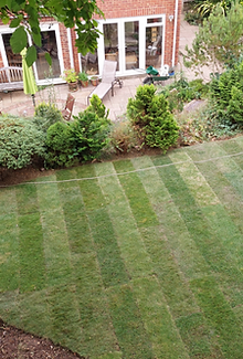 new-turfed-lawn.png