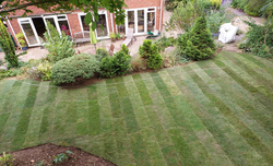 new-turfed-lawn