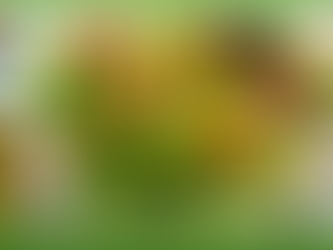 Alimentação equilibrada contribui para melhoria de dores, cicatrização e alívio do estresse