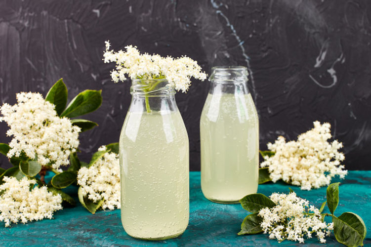 kombucha-tea-with-elderflower_120485-153