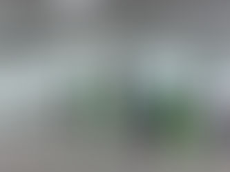 大津テラスジュニアBチーム