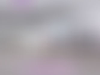 大騒ぎのミニジュニア