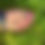 Thumbnail: Purple Rain toes