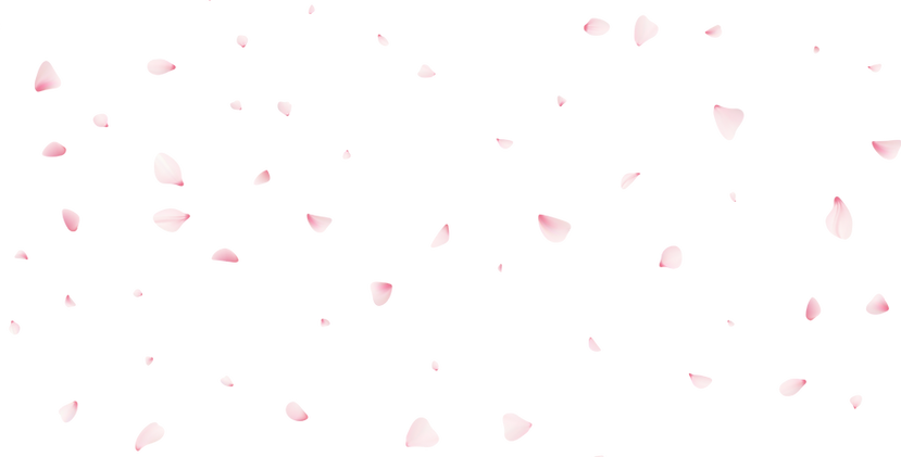 capa site (13).png