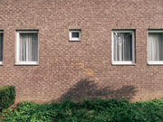 Kevin Trappeniers - Present - A Mending