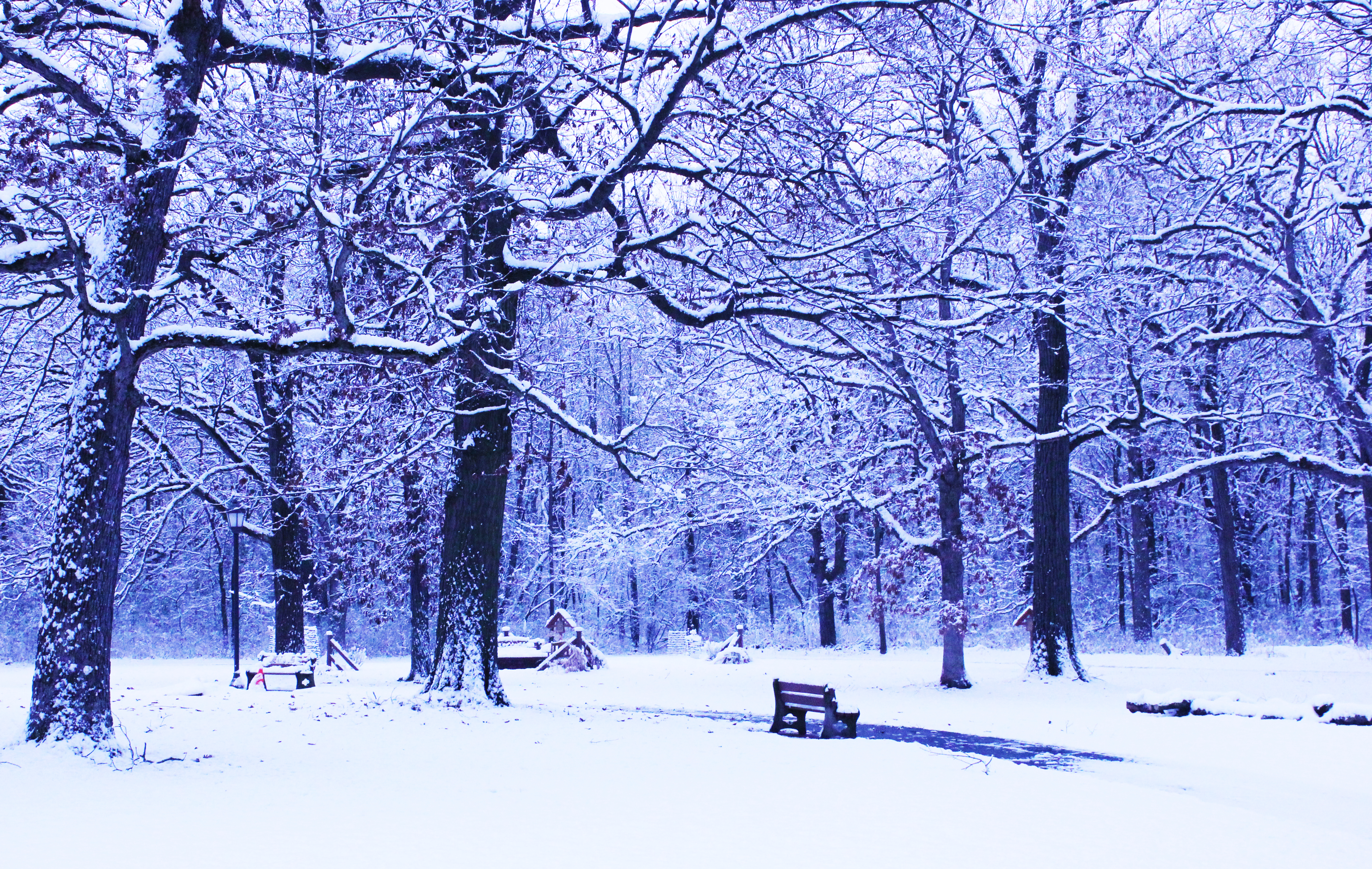 Our Grounds in the Winter