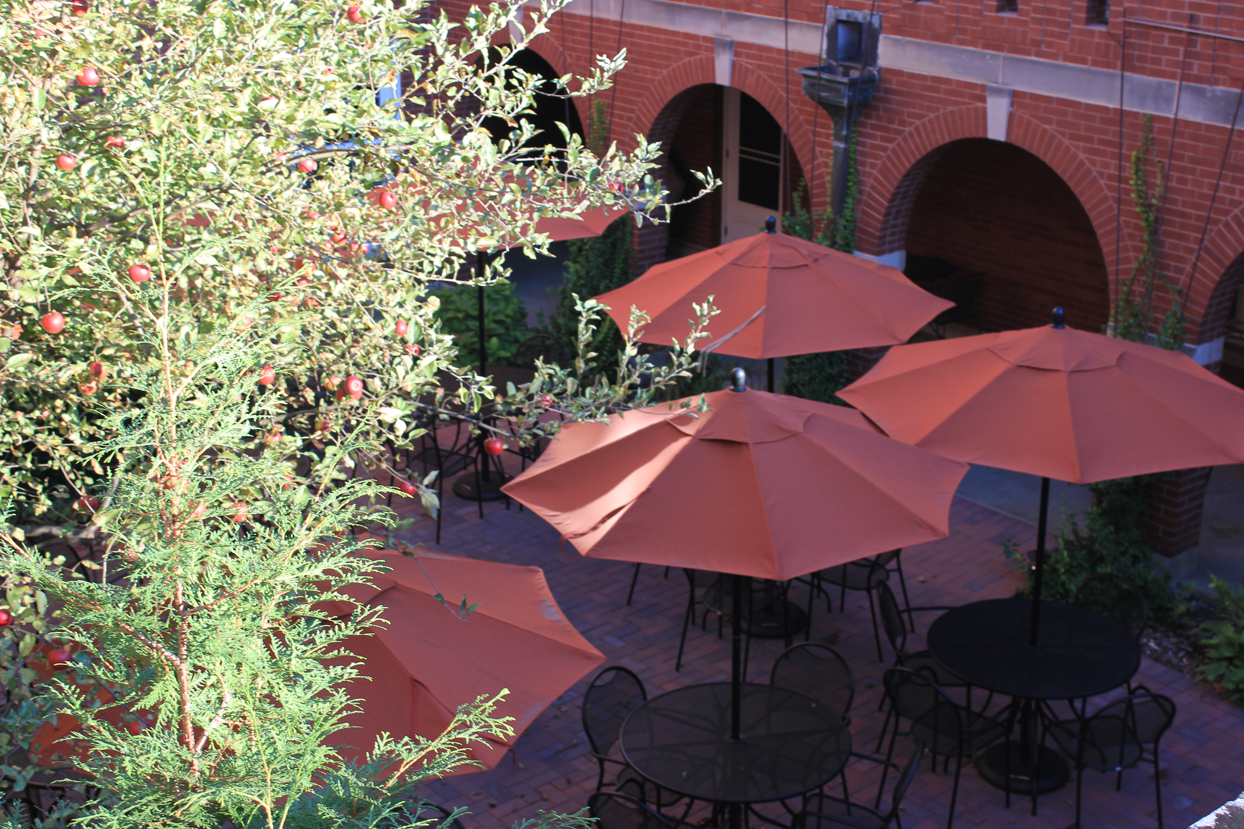 Outdoor Patio