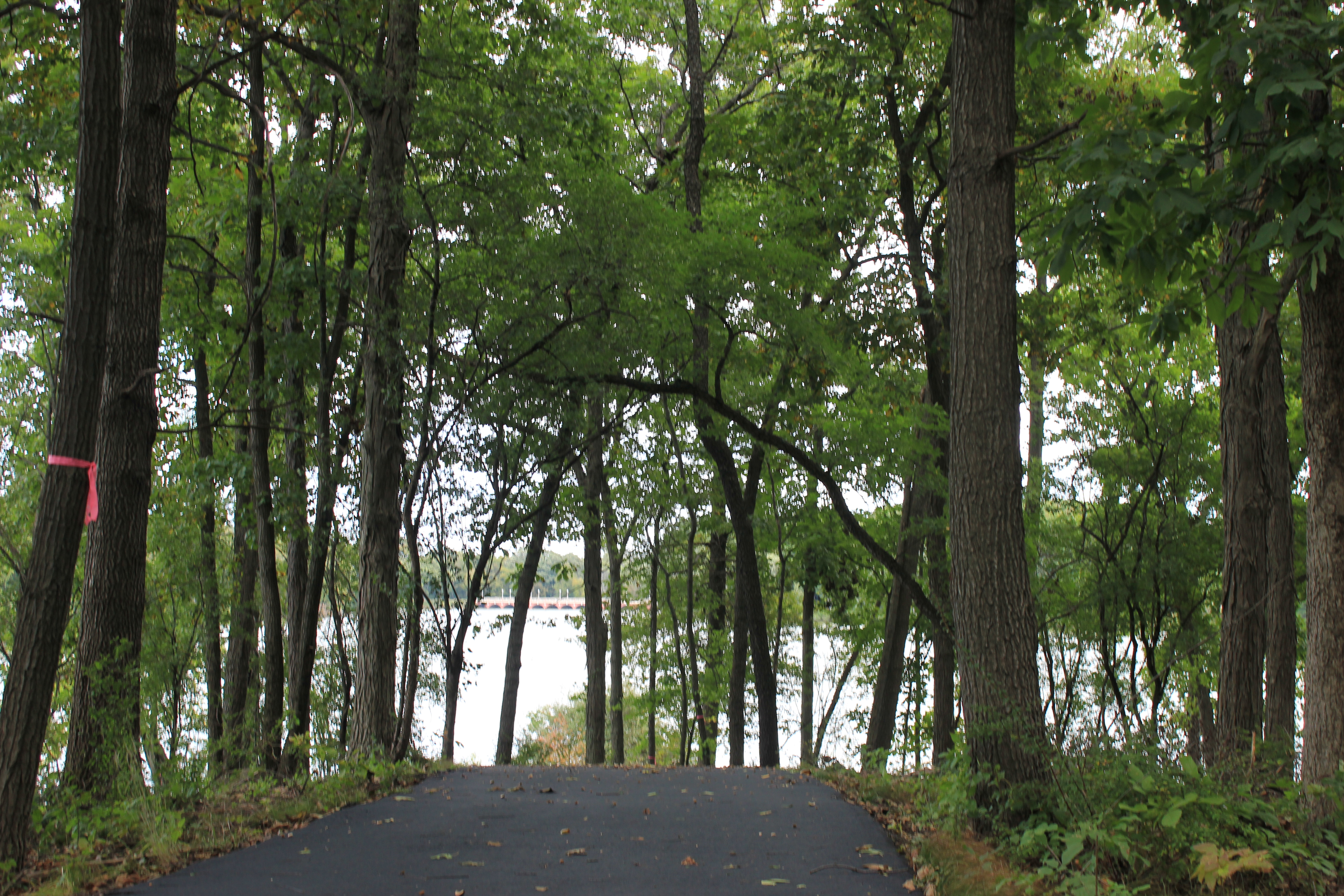 Walking Path