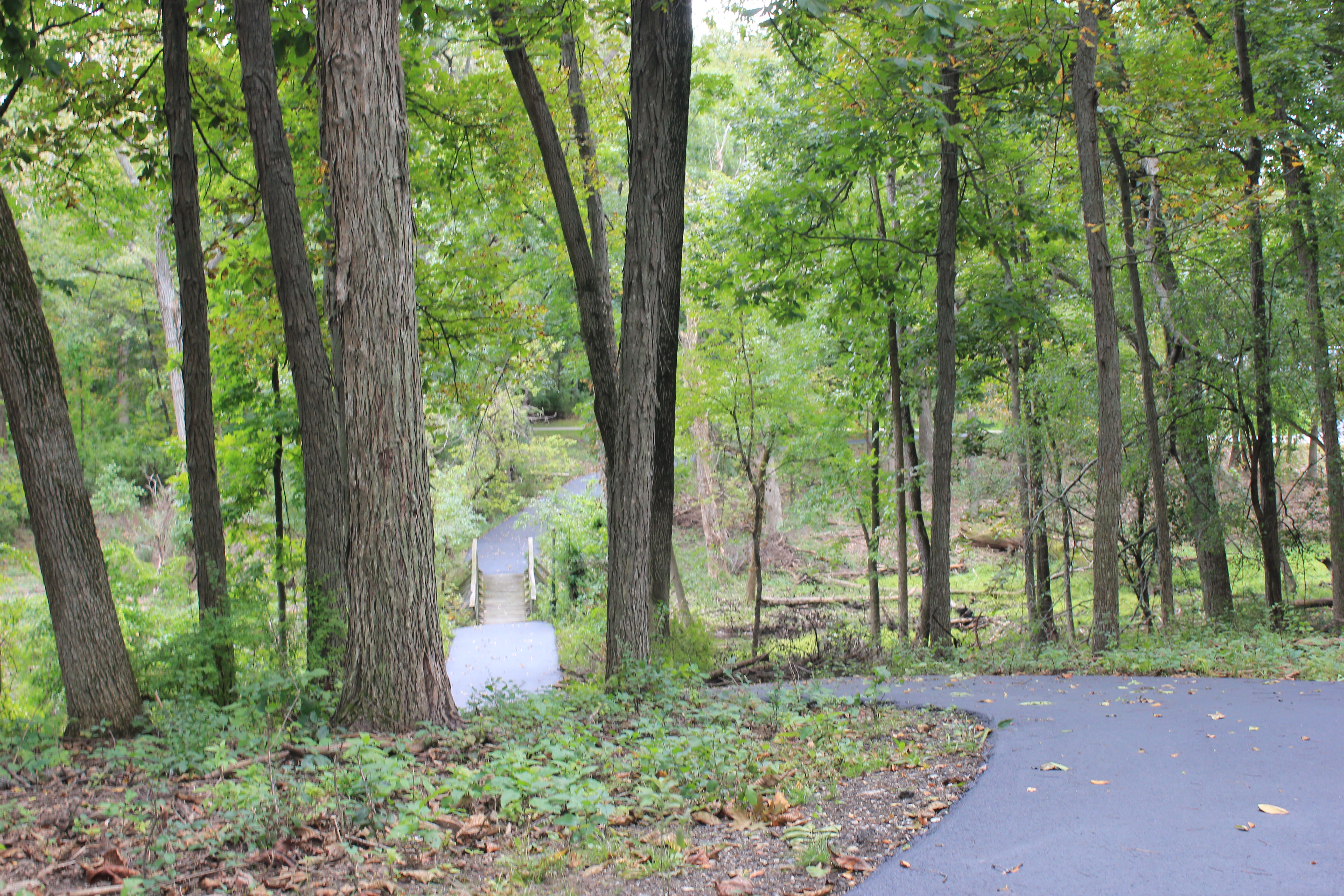 Walking Paths
