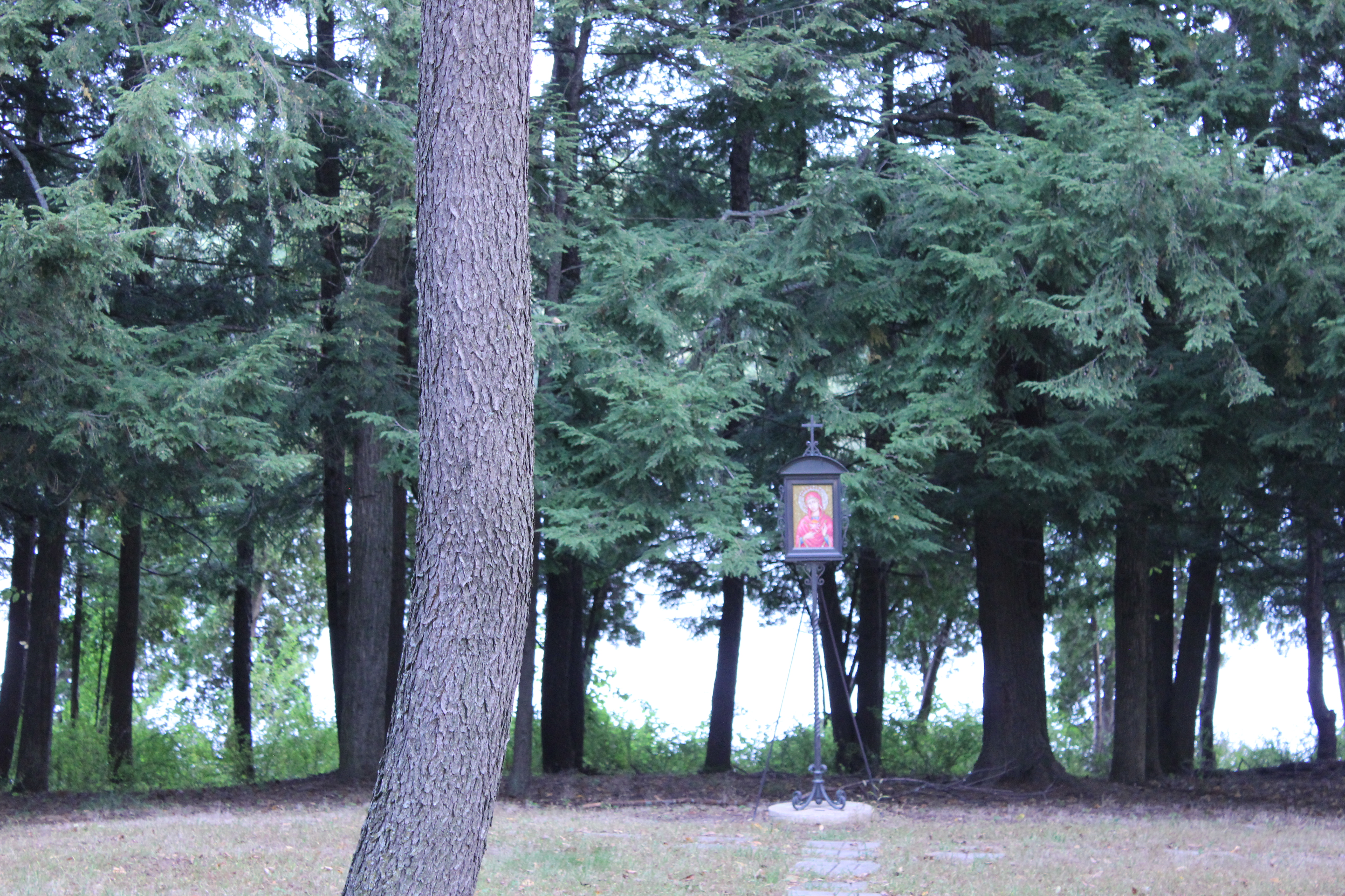 Our Grounds