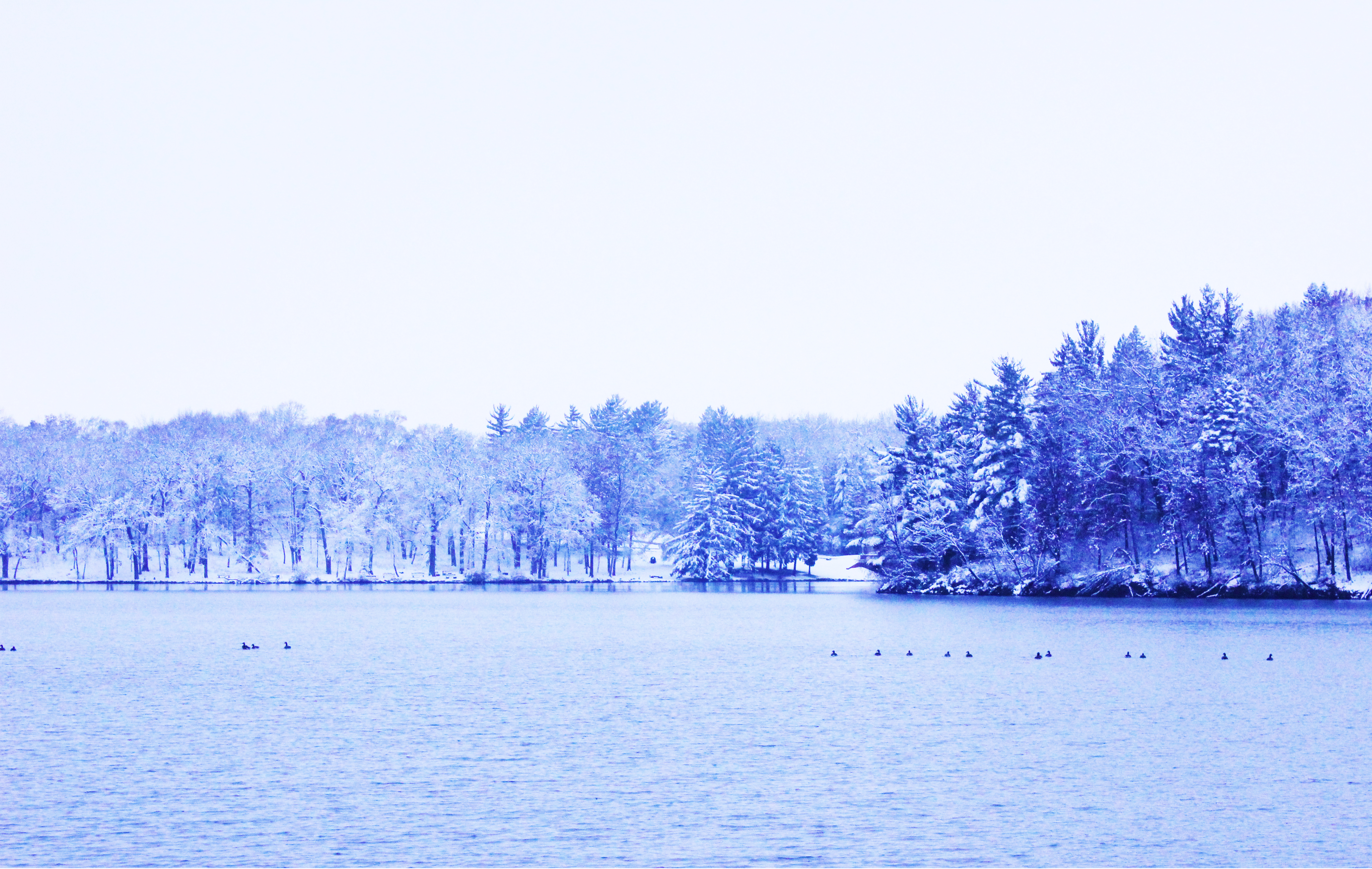Lake in the Winter