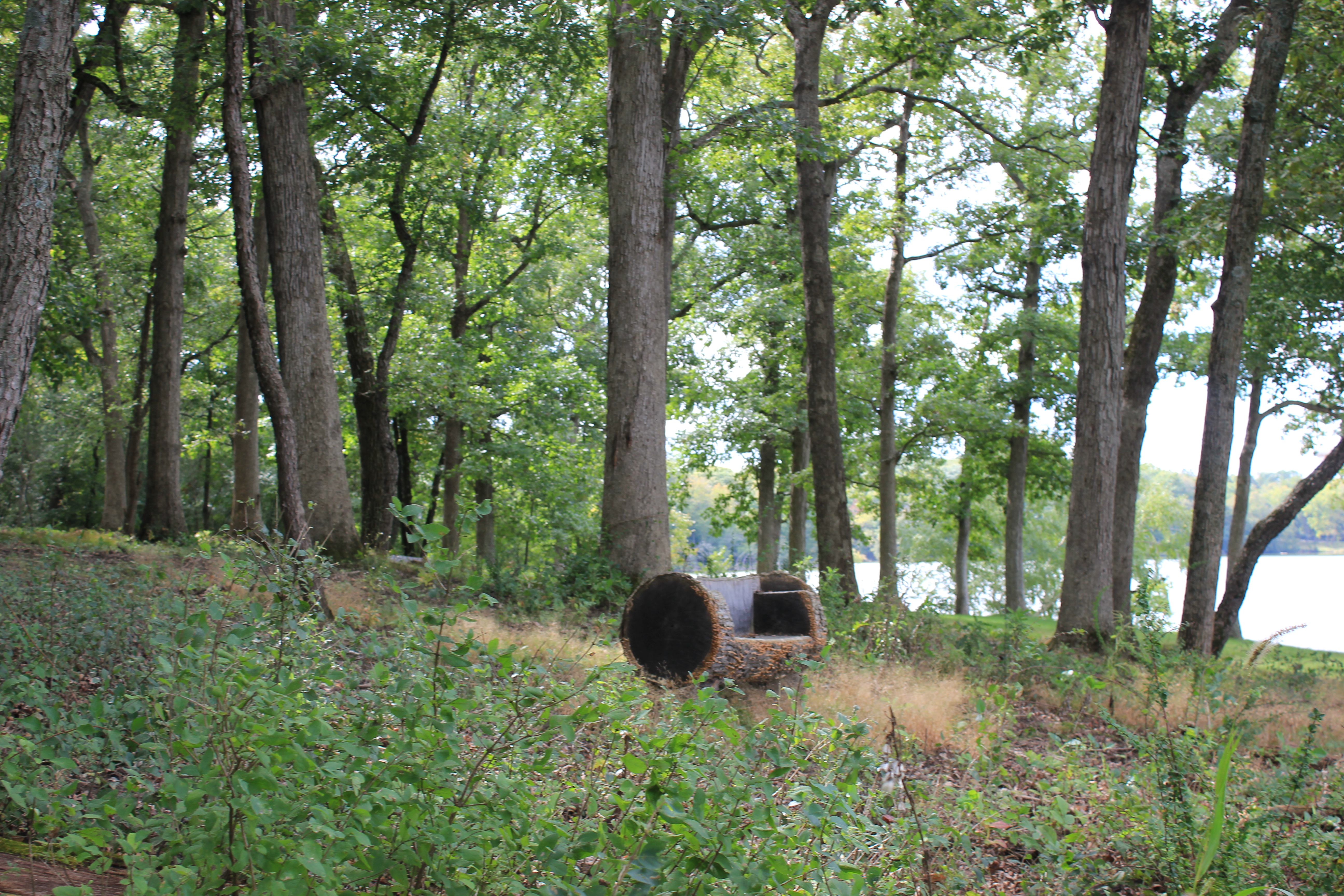 Peaceful Places