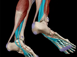 הכלי שיכול לסייע בחיזוק השרירים שלרוב האנשים קשה להפעיל