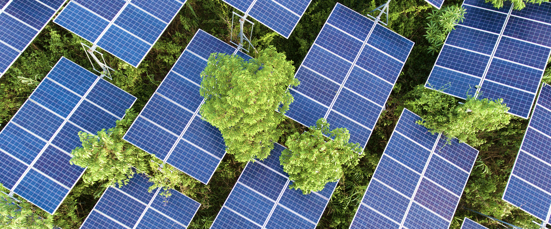 2327_sustainable-energy_hero
