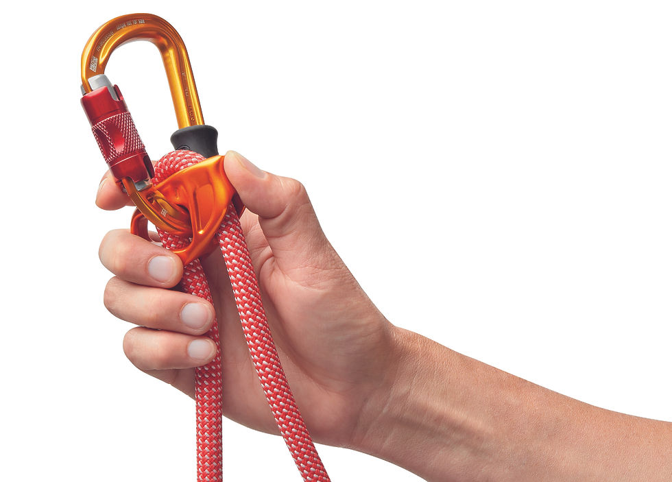 Thumbnail: Petzl Dual Connect Vario Lanyard