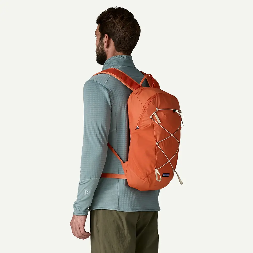 Thumbnail: Patagonia Terravia Pack 14L