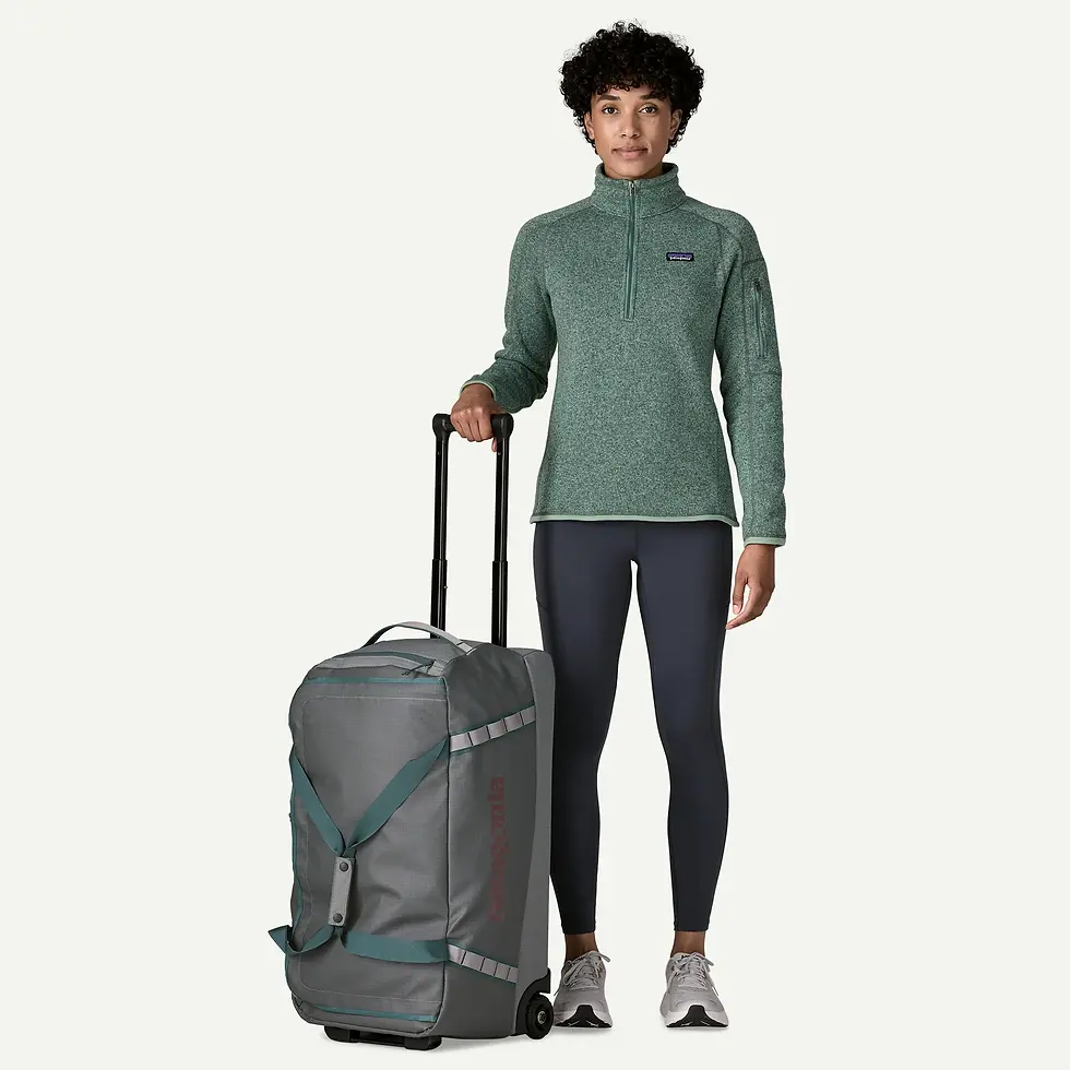 Thumbnail: Patagonia Black Hole Wheeled Duffel 70L
