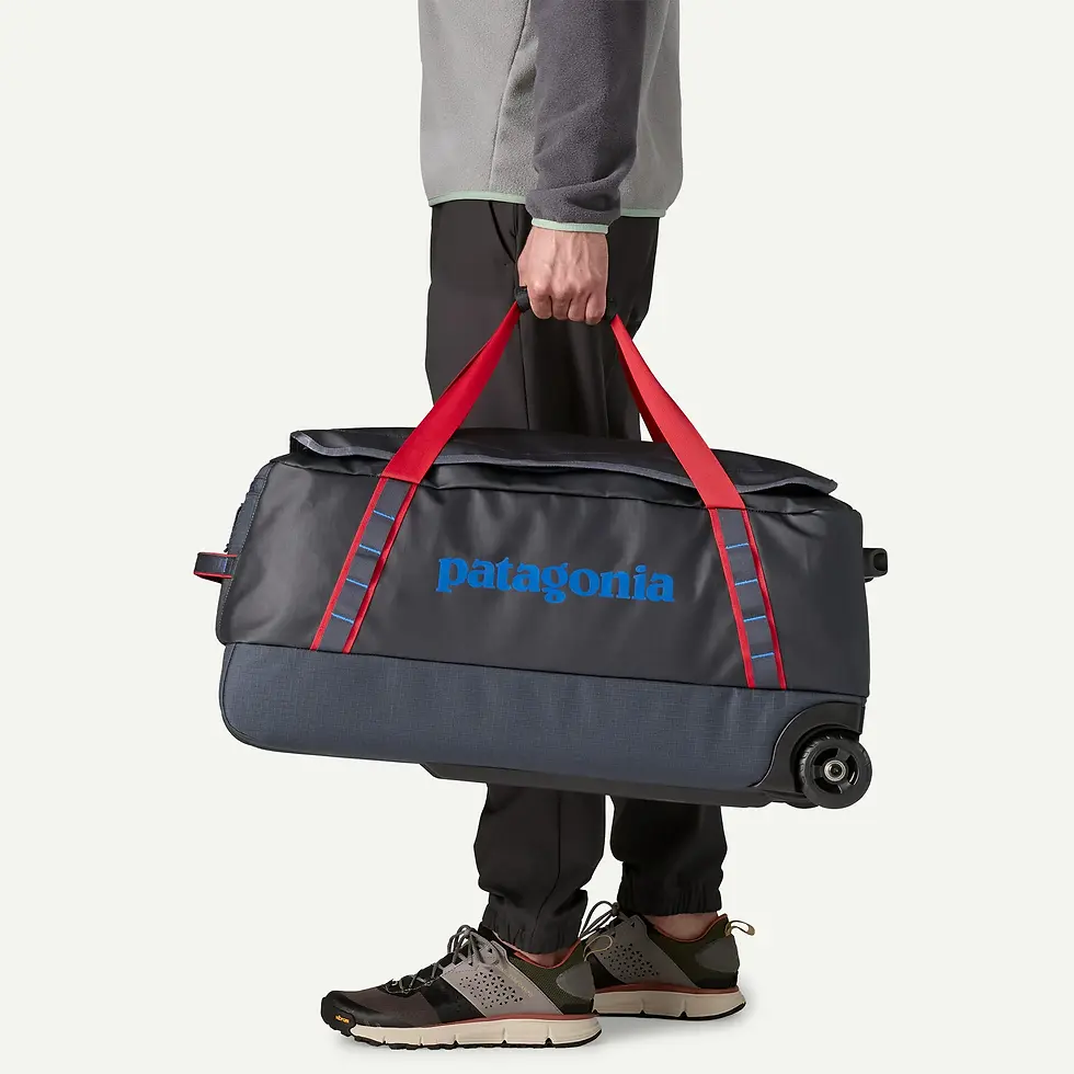 Thumbnail: Patagonia Black Hole Wheeled Duffel 70L
