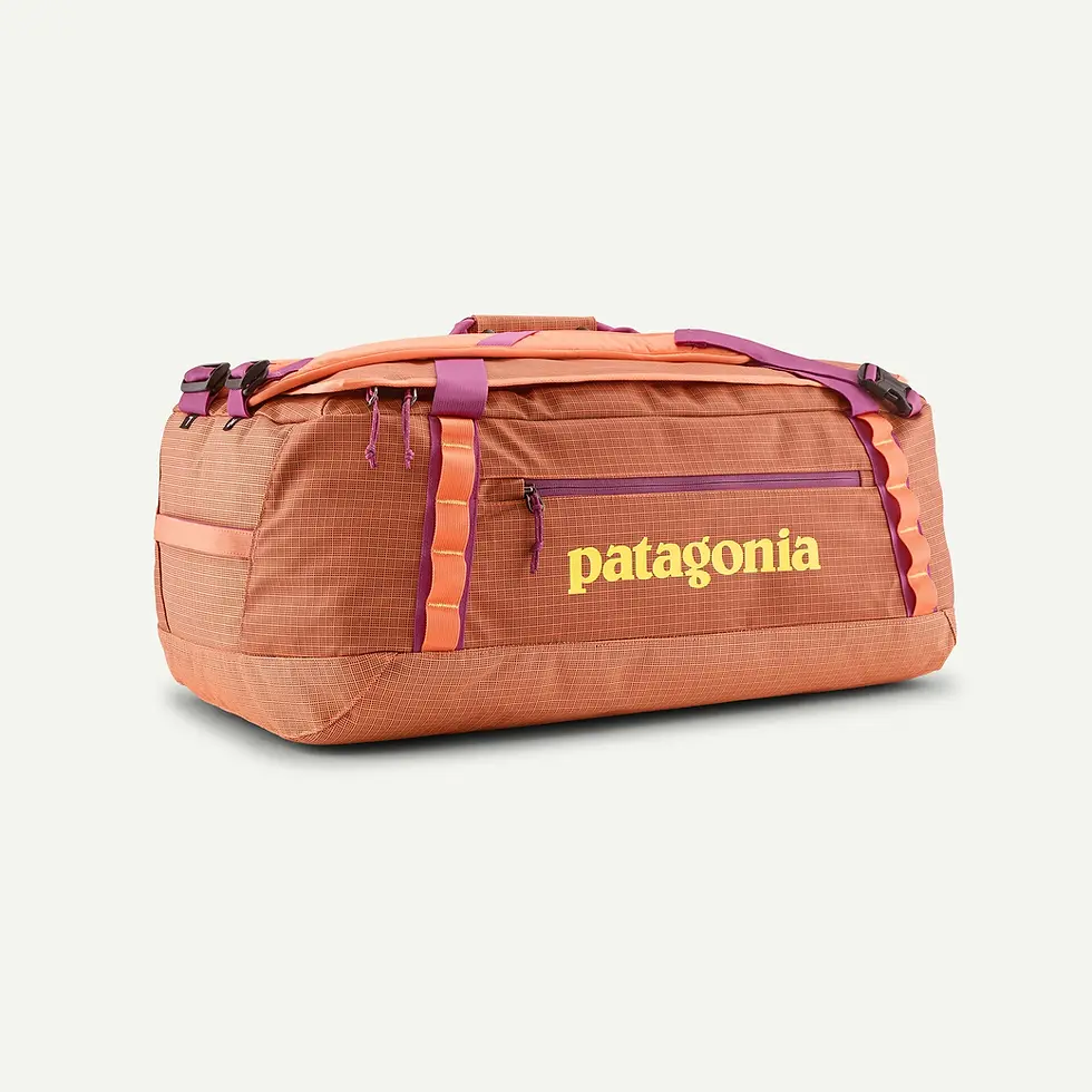 Thumbnail: Patagonia Black Hole Duffel 55L