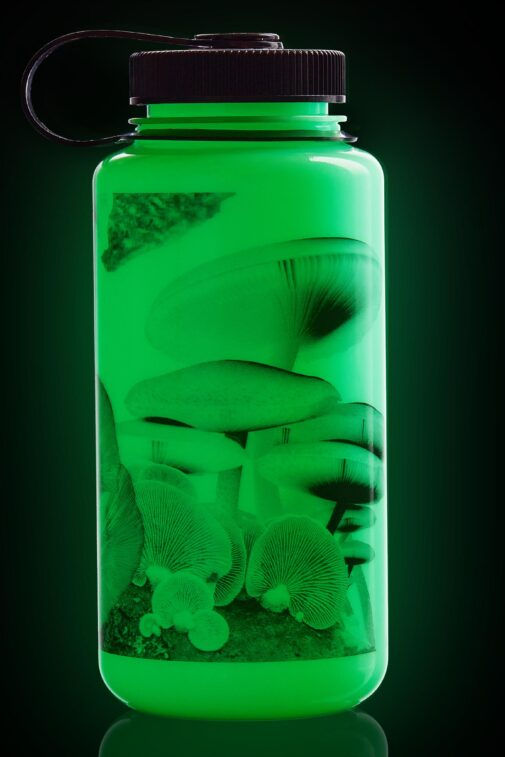Thumbnail: Nalgene WM Tritan 1L (32oz) Glo Wyld Water Bottle