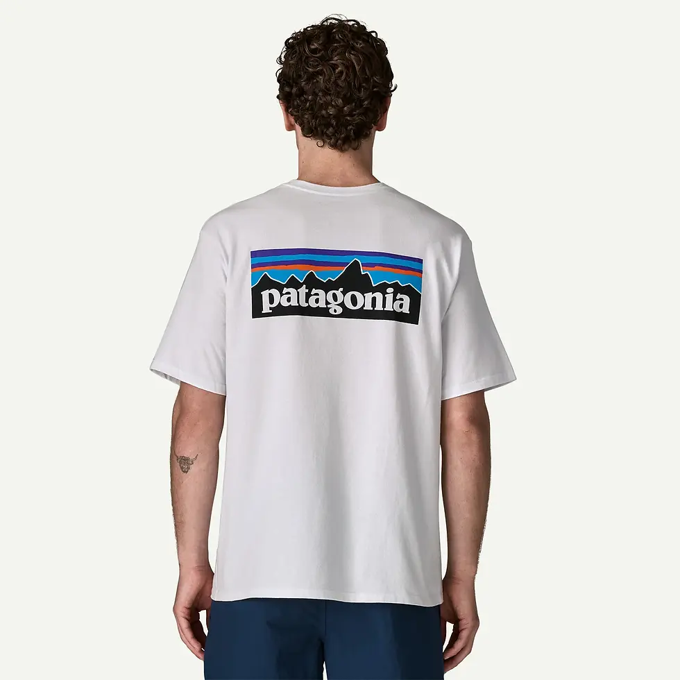 Thumbnail: Patagonia Men's P-6 Logo Responsibili-Tee