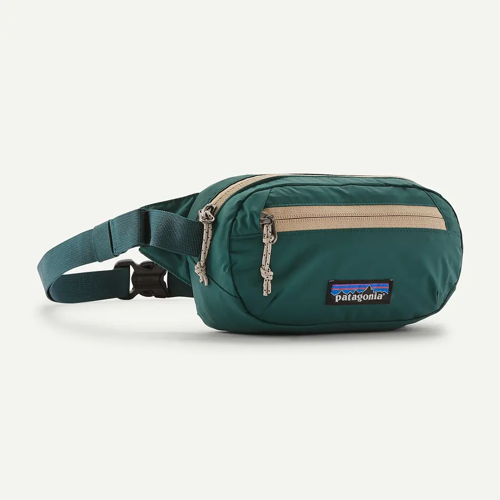 Thumbnail: Patagonia Terravia Mini Hip Pack 1L