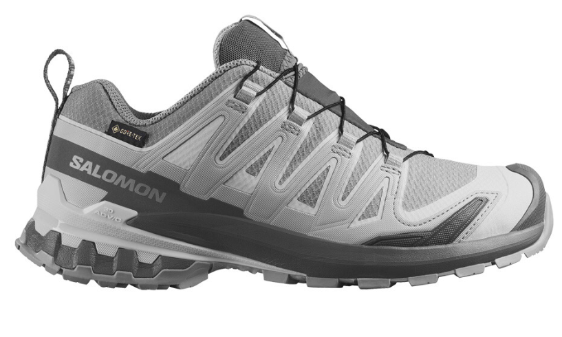Thumbnail: Salomon XA Pro 3D V9 GTX Women's