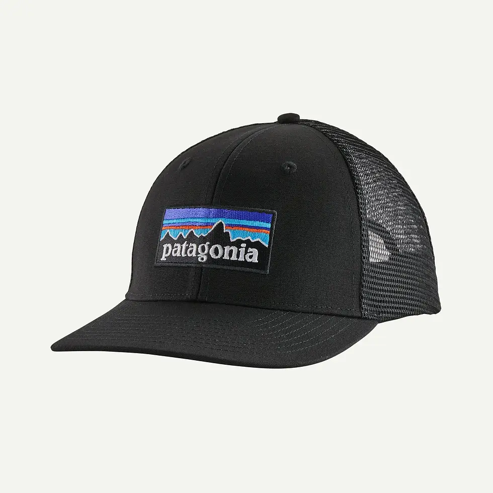 Thumbnail: Patagonia P-6 Logo Trucker Hat