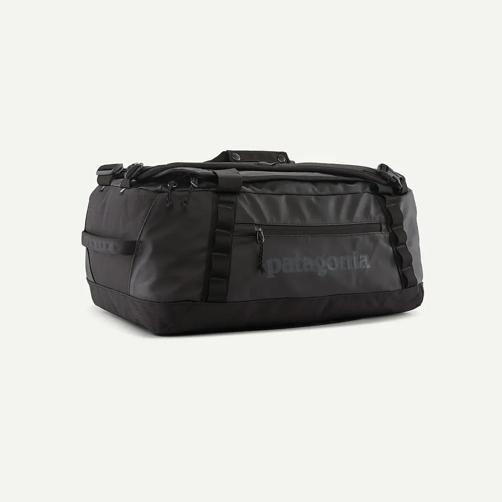 Thumbnail: Patagonia Black Hole Duffel 40L