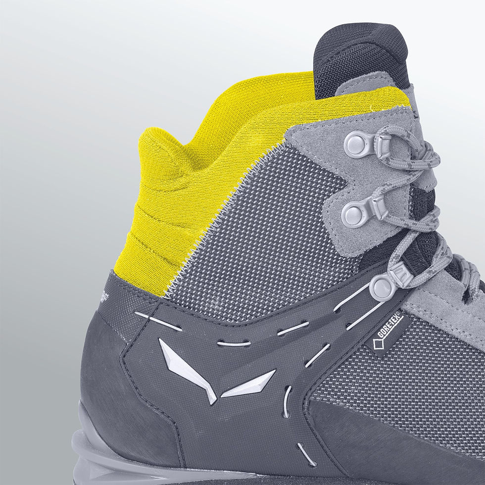 Thumbnail: Salewa Men's Rapace Gore-Tex Boot