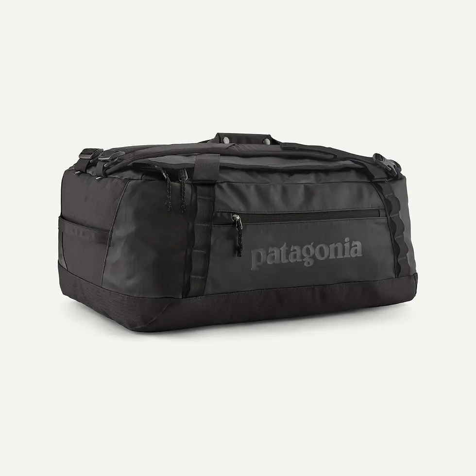 Thumbnail: Patagonia Black Hole Duffel 55L