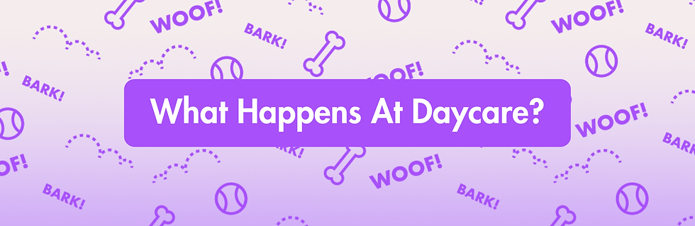 What Happens At Daycare.png