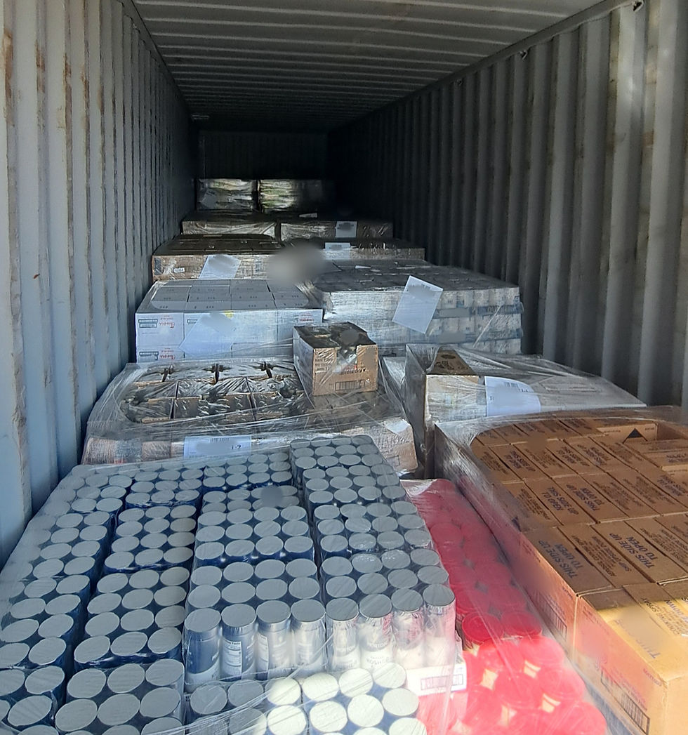Blue30 ISO Container Unloading