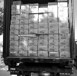 Blue30 ISO container unloading
